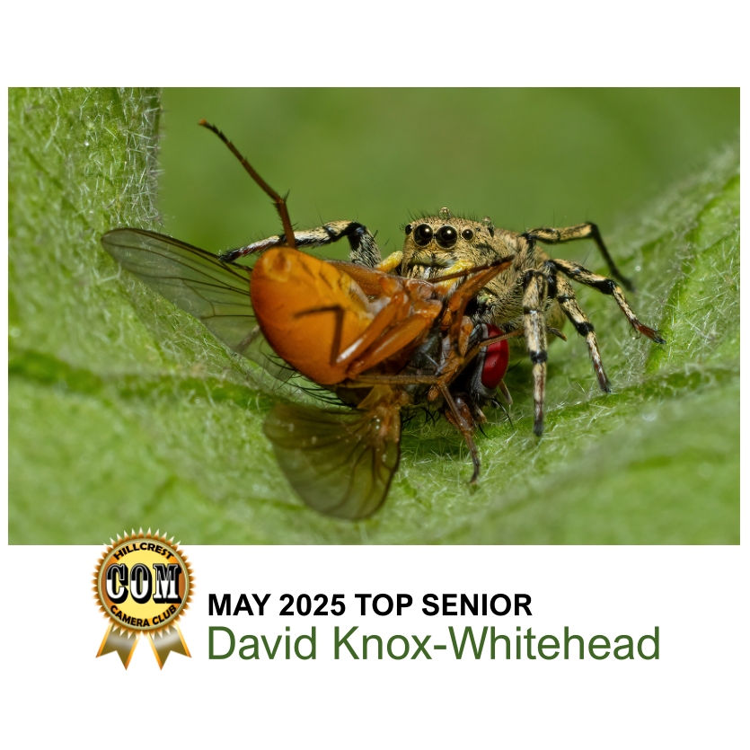 Top Senior Image - Wildlife - David Knox-Whitehead